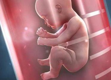 女性有染色体罗氏易位在三门峡市做试管养囊成功率高吗？试管移植后需要保胎吗！