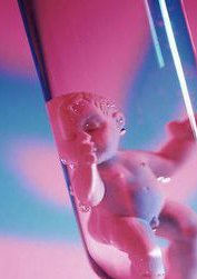 不同阶段的卵泡是否会影响试管婴儿成功率？