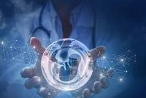 胚胎移植后出现胎停育怎么办